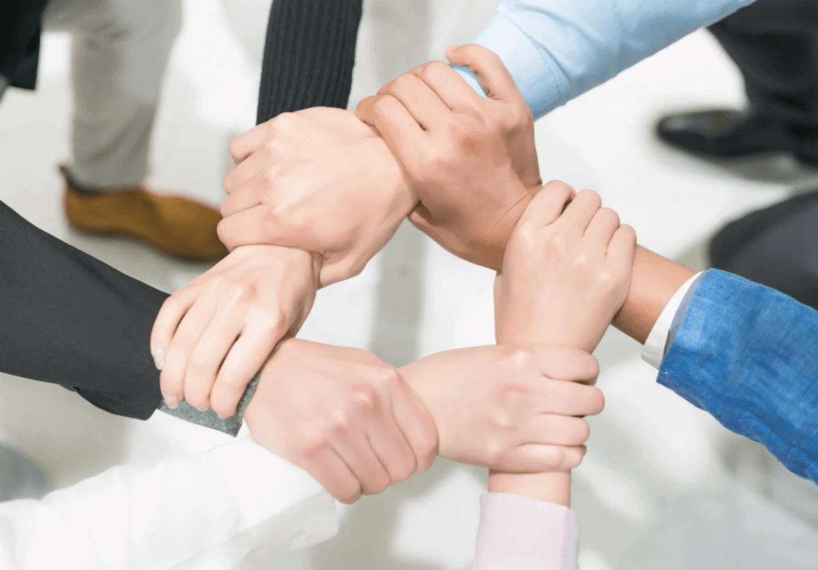 Senior Industry Expertise