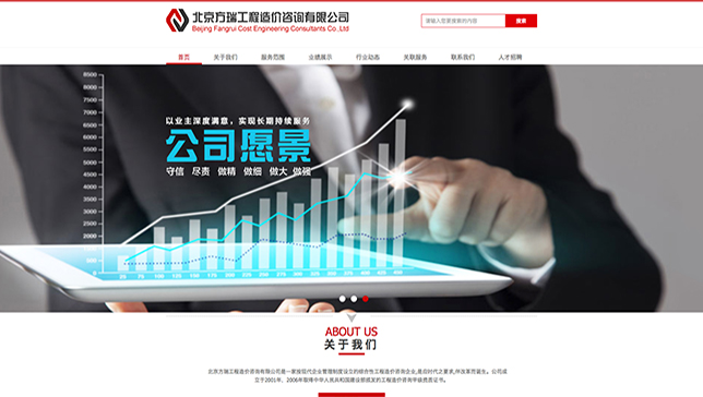 品牌网站建设案例