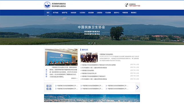医药网站建设案例案例