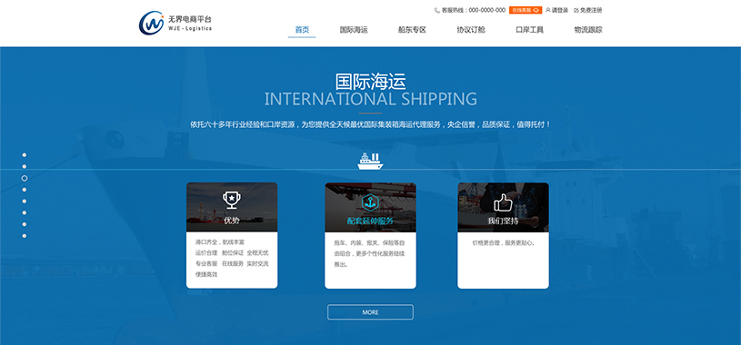 品牌网站建设案例