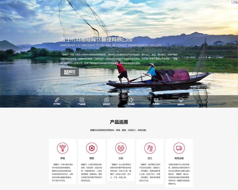 品牌网站建设案例