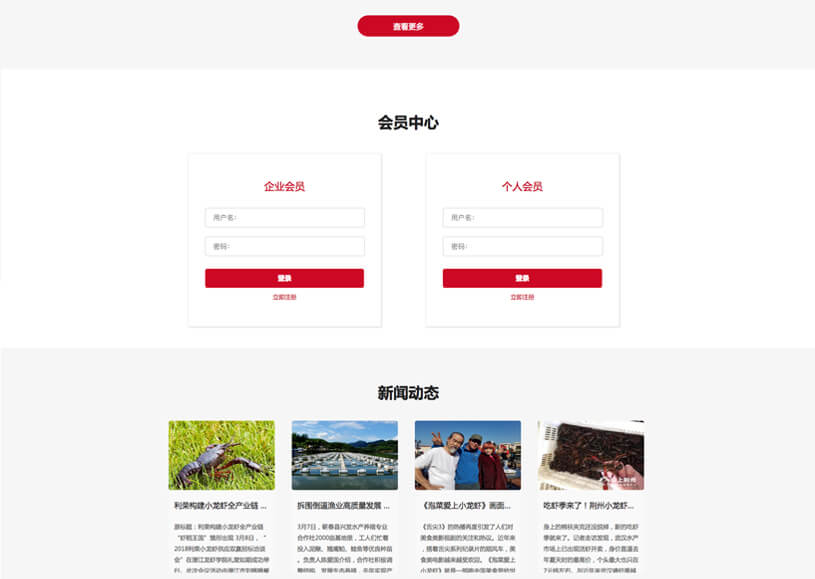 企业网站制作案例
