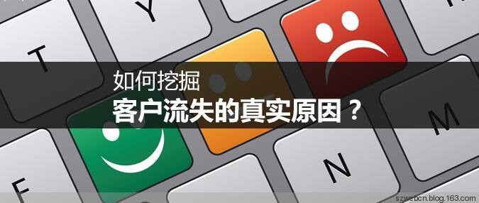 大型网站开发案例