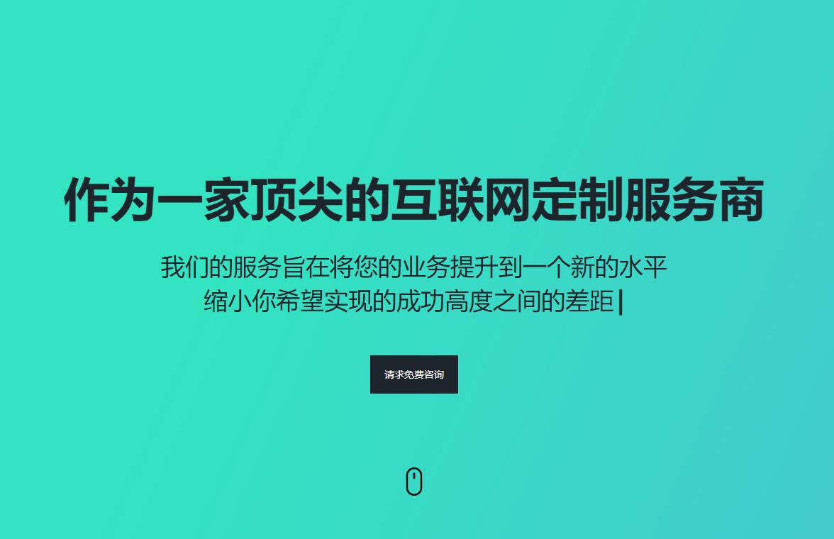 大型网站开发案例